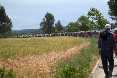 Caminada saludable