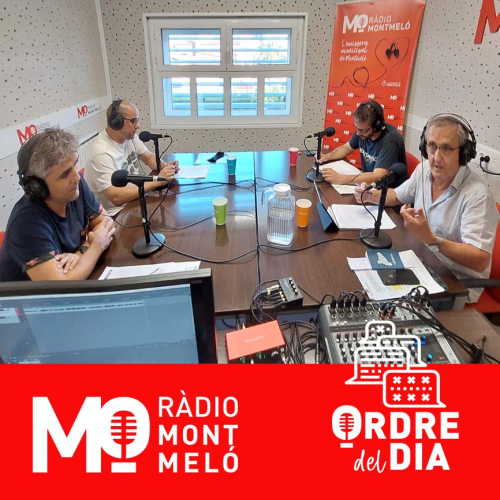 Programa Ordre del dia