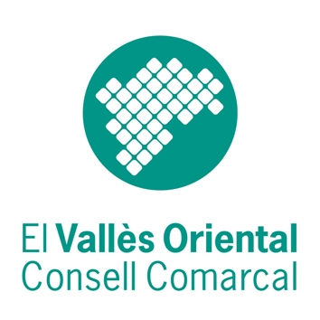 Logo Consell Comarcal VO 2021