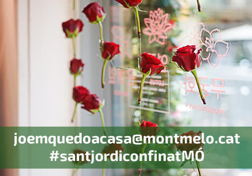 Decora amb mutius de Sant Jordi la tema casa, balcons i finestres