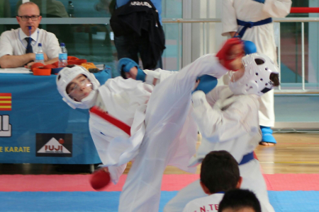 Imatge del campionats on ha participat el Club Karate Montmeló