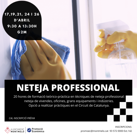 Curs de neteja professional