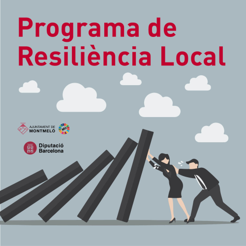 Programa de reiliència local