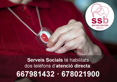 Serveis Socials